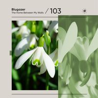 Blugazer - The Home Between My Walls