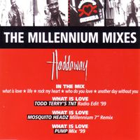 Haddaway - The Millennium Mixes