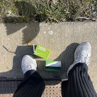 MELE - Nichts macht Sinn