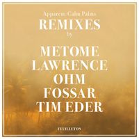 Philipp Priebe - Apparent Calm Palms Remixes