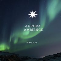 Black Cat - Aurora Ambience
