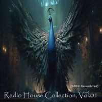 Morris Dj - Radio House Collection, Vol. 01 (2024 Remastered)