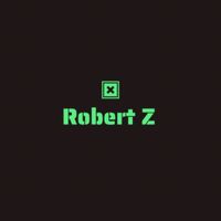 Robert Z - Here to Go