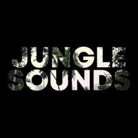 Jungle Sounds - Jungle Sounds