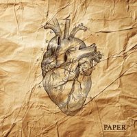 Paper - L'Anatomia del Cuore