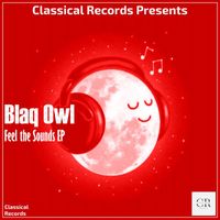 Blaq Owl - Feel The Sounds
