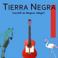 Tierra Negra - Concierto De Aranjuez (Adagio)