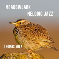 Thomas Shea - Meadowlark Melodic Jazz
