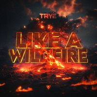 Trye - Like A Wildfire