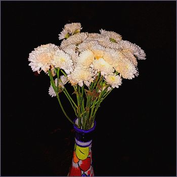 Desfile Fúnebre De Rosas - Crippled Flowers