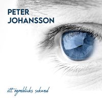 Peter Johansson - Ett ögonblicks sekund
