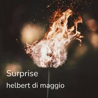 helbert di maggio - Surprise