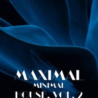 Various Artists - Maximal Minimal House, Vol. 2