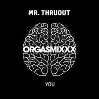 Mr. ThruouT - You