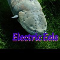 Michael Manning - Electric Eels