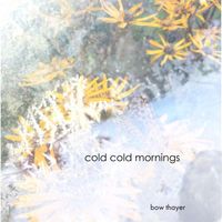 Bow Thayer - Cold Cold Mornings