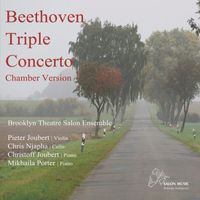 Brooklyn Theatre Salon Ensemble - Beethoven Triple Concerto Chamber Version