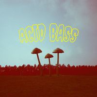 Frittenbude - Acid Bass