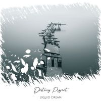 Liquid Dream - Destiny Project (Radio Edit)