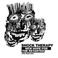Shock Therapy - New Hope for the Retarted (The Past Life [Explicit])