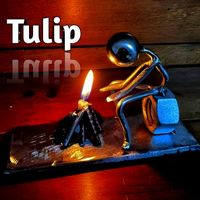 Tulip - grown up gone is