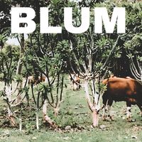 Blum - Beside Me