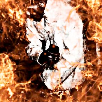 ZIRO - Humid (Explicit)