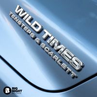 Tensteps - Wild Times