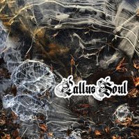 Callus Soul - Higher Ground