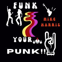 Mike Harris - Funk Your Punk