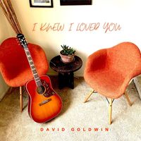 David Goldwin - I Knew I Loved You
