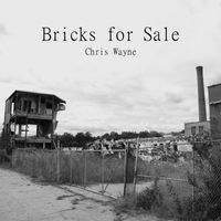 Chris Wayne - Bricks for Sale