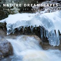 Nature Dreamscapes - Bubbling Icy Water Stream