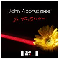 John Abbruzzese - In the shadows