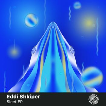 Eddi Shkiper - Sleet