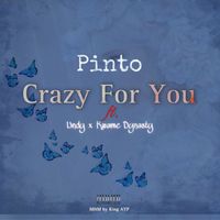 Pinto - Crazy for you (Explicit)