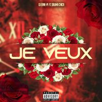 DJ Erne-Pi - Je veux (feat. Salima Chica) (Explicit)