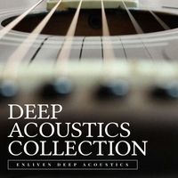 Enliven Deep Acoustics - Deep Acoustics Collection