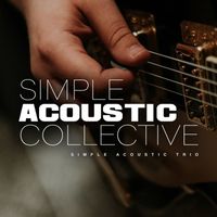 Simple Acoustic Trio - Simple Acoustic Collective