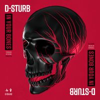 D-Sturb - In Your Bones (Extended Mix)