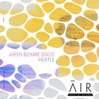 aspen bizarre disco - Hustle