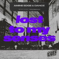 Amine Edge & DANCE - Lost To My Senses