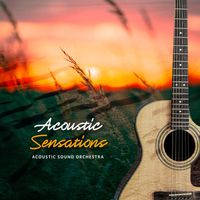 Acoustic Sound Orchestra - Acoustic Sensations