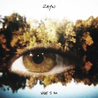 Zayn - What I Am (Explicit)