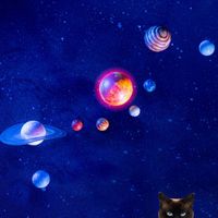 Michael Ritter - Cosmic Cat