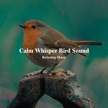 Relaxing Music - Calm Whisper Bird Sound