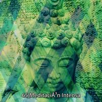 Classical Study Music - 65 MeditaciÃ³n Intensa