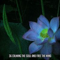 Japanese Relaxation and Meditation - 36 Calming The Soul And Free The Mind
