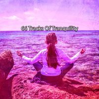 Yoga Workout Music - 66 Tracks Of Tranquility