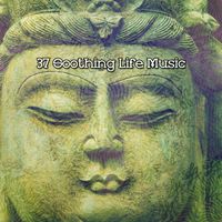 Meditation Spa - 37 Soothing Life Music